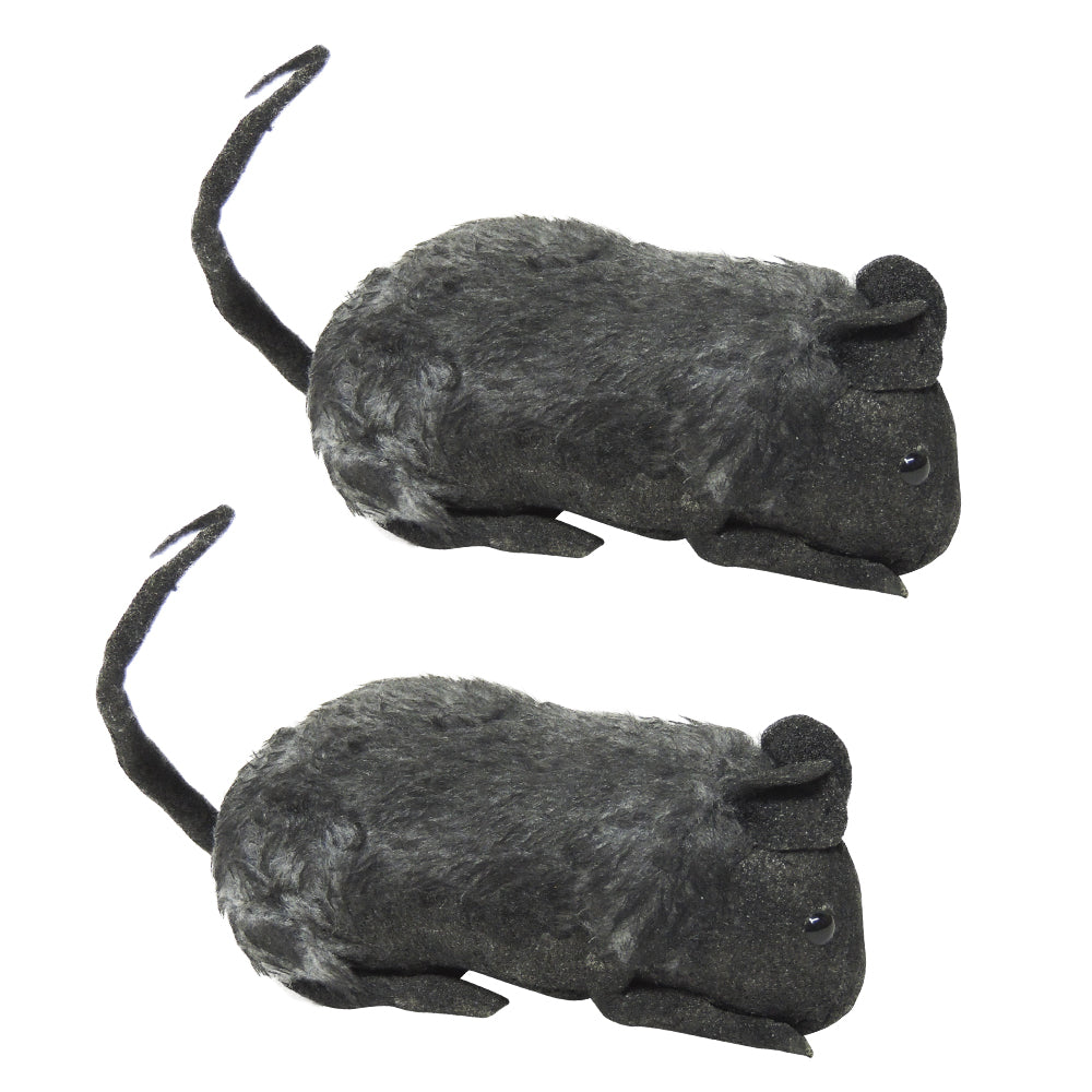 raton-pequeño
